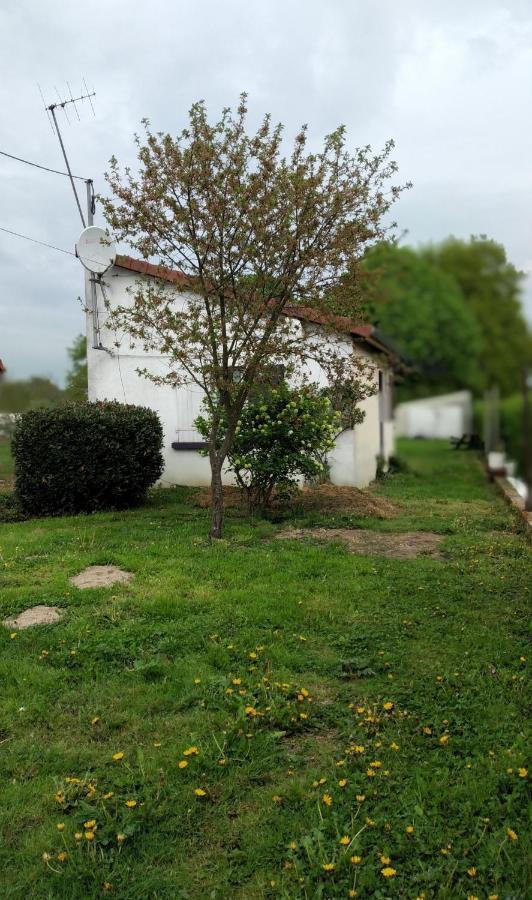 Maison Studio Individuelle Fraichement Renovee Paray-le-Frésil Kültér fotó